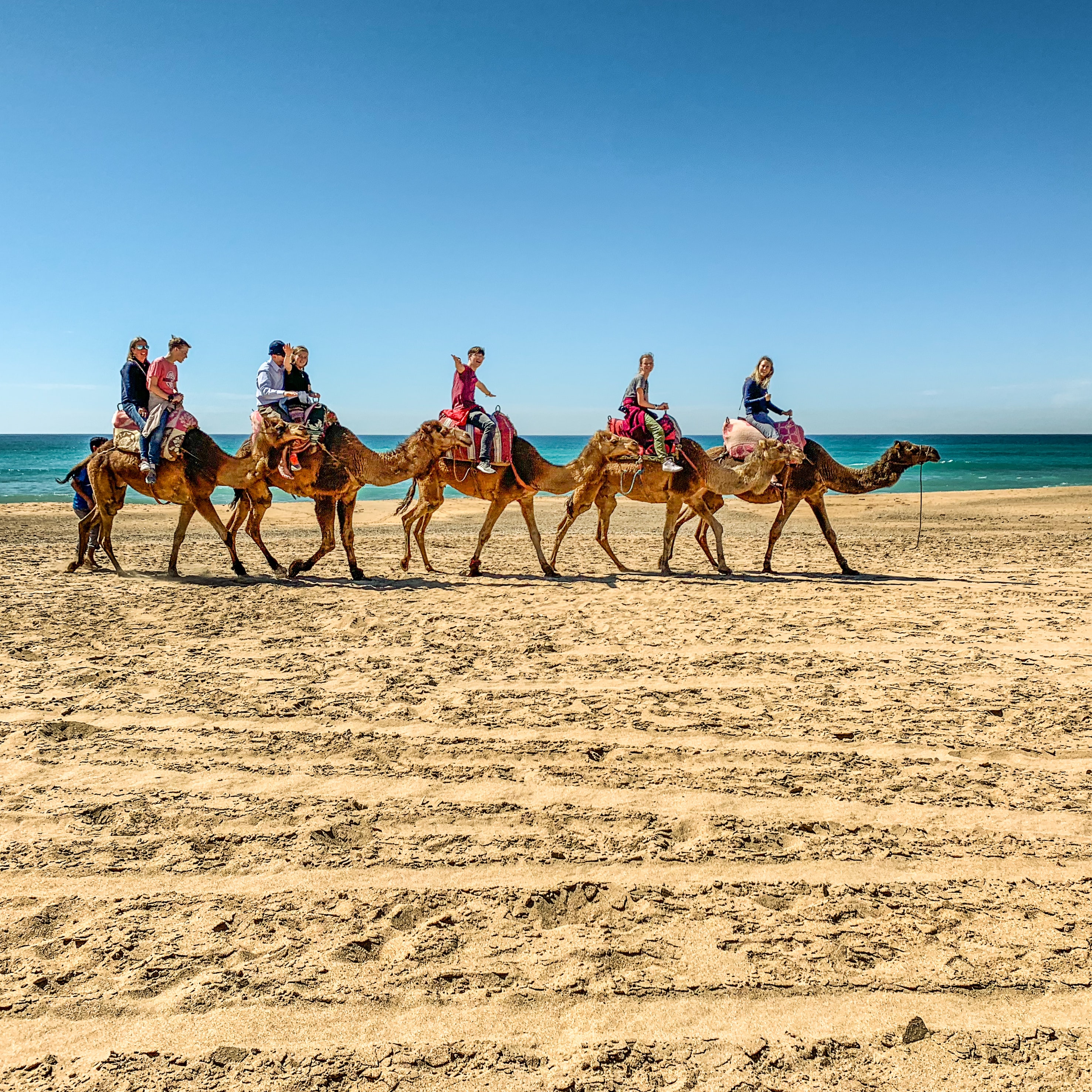 a family riding camels with a beach on the background